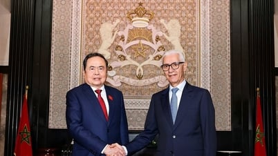 Chủ tịch Quốc hội Trần Thanh Mẫn hội đàm với Chủ tịch Hạ viện Maroc