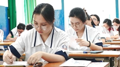 Điểm sàn xét tuyển và điểm chuẩn dưới 15 có vi phạm quy chế?