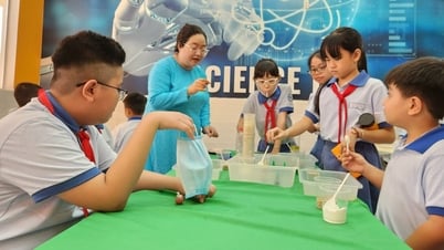 Quy định chuyển trường tiểu học, THCS, THPT của TP.HCM, sau sáp nhập
