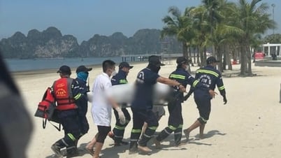 Tìm thấy thi thể người cha mất tích khi đi tắm biển cùng con tại Hạ Long
