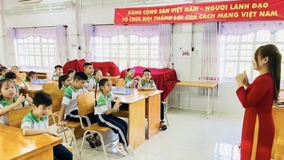 Hướng dẫn thủ tục chuyển trường sau sáp nhập tại TP Hồ Chí Minh
