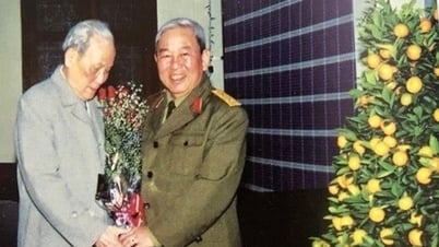 Vị đại tướng nào là người gốc Nam Bộ duy nhất đến nay?