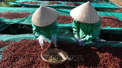 Bộ Công Thương hướng dẫn cụ thể về sử dụng bảng kê thu mua nguyên liệu