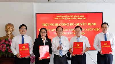 Công bố quyết định thành lập các cơ quan tham mưu, giúp việc Đảng ủy UBND TPHCM