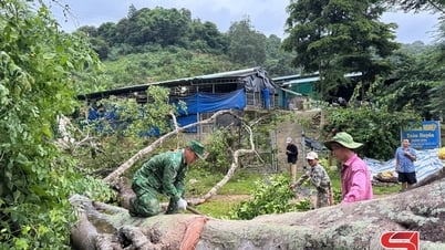 Bộ đội Biên phòng giúp nhân dân khắc phục hậu quả mưa bão