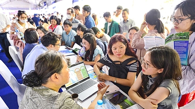 Tuyển sinh đại học 2025: Điểm sàn giảm sâu, điểm chuẩn sẽ ra sao?