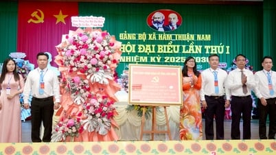 Tập trung nguồn lực để xã Hàm Thuận Nam phát triển bứt phá