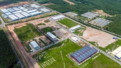 Xã Trà Tân lo thêm “khai hoang” du lịch