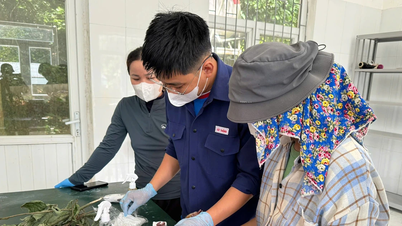 Tỷ lệ cứu hộ động vật hoang dã thành công đạt trên 98%