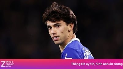 Felix bị chỉ trích ham tiền