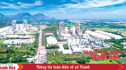 Xi măng Long Sơn tự hào khẳng định chất lượng Việt trên những công trình quốc tế