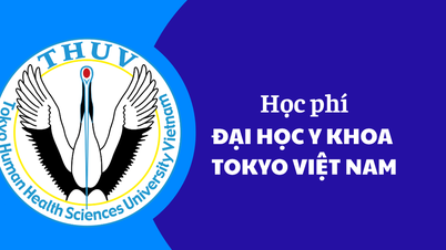 Học phí Đại học Y khoa Tokyo Việt Nam năm 2025-2026