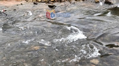 Ô nhiễm môi trường từ trang trại chăn nuôi lợn