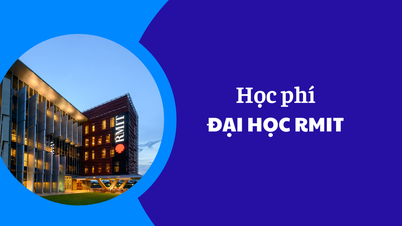 Học phí Đại học RMIT năm 2025-2026