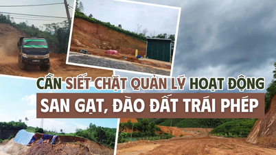 Cần siết chặt quản lý hoạt động san gạt, đào đất trái phép