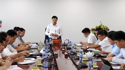Phó Chủ tịch UBND tỉnh Đào Quang Khải làm việc với Sở Nông nghiệp và Môi trường