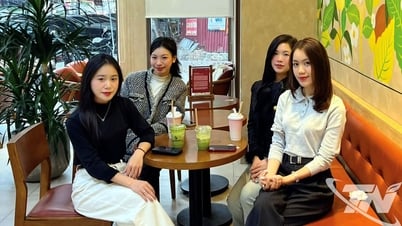 Young people of Thai Nguyen and the sophisticated tea drinking culture