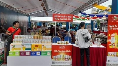 UBND tỉnh mời dự Hội chợ Công thương vùng Đồng bằng sông Hồng - Ninh Bình năm 2025