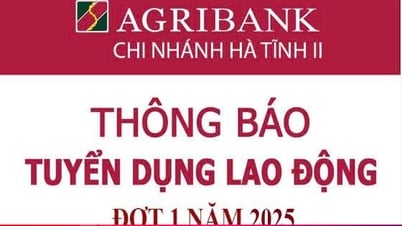Agribank - Chi nhánh Hà Tĩnh II tuyển dụng lao động