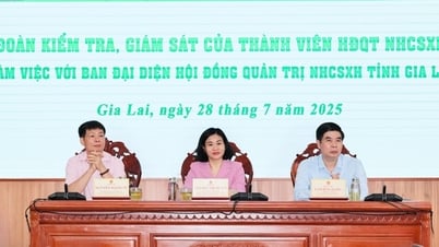 Khẳng định vai trò "trụ cột" của tín dụng chính sách trong công tác giảm nghèo tại Gia Lai