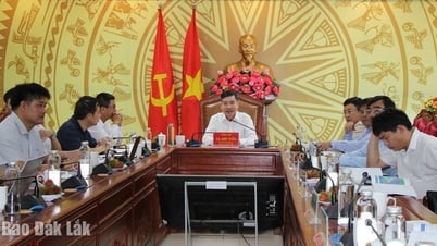 Đề xuất cập nhật quy hoạch khu bến cảng Bãi Gốc - Đông Hòa