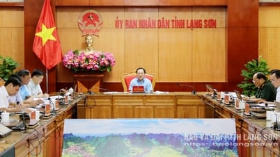 Họp xem xét phương án tổ chức đấu thầu lựa chọn nhà đầu tư dự án Nhà máy xử lý rác thải tại bãi rác Tân Lang