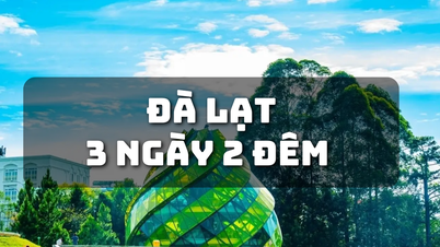 Breathe with green pine trees, live with cool climate in "City of thousands of flowers"