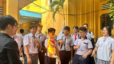 TPHCM quy định việc chuyển trường, xin học lại đối với từng bậc học