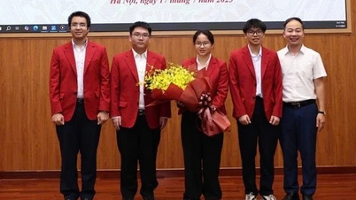 4 học sinh Việt Nam đoạt huy chương Olympic Sinh học Quốc tế, Việt Nam lọt top 10 quốc gia điểm cao