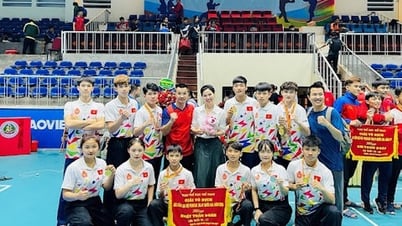 Phú Thọ: Đề án 223 phát huy hiệu quả, chính sách đãi ngộ đã tạo động lực phát triển thể thao thành tích cao