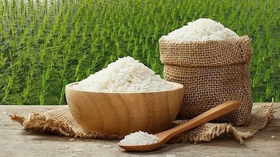 Giá lúa gạo hôm nay 28/7: Thị trường ổn định, giao dịch trầm lắng
