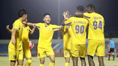 CLB Quảng Nam thoát hiểm giờ chót: Tìm đâu ra người đá V-League, HLV Quốc Anh ngồi ghế nóng?