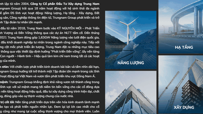 Điện mặt trời Trung Nam lãi lớn sau cú sốc