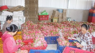 Phát huy nội lực, xây dựng Hàm Liêm phát triển toàn diện và bền vững