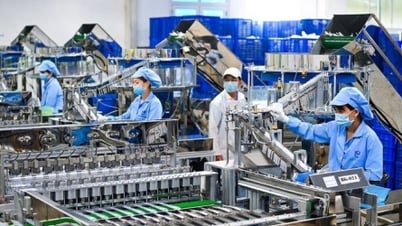 Establishment of the Management Board of Ho Chi Minh City Export Processing and Industrial Zones