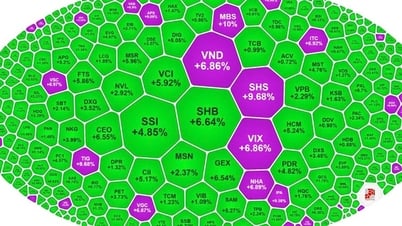 Cổ phiếu tím lịm, VN-Index lập đỉnh 25 năm thị trường chứng khoán Việt Nam
