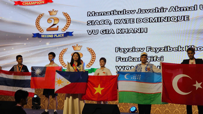 Học sinh Việt Nam giành giải thưởng lớn tại kỳ thi toán học quốc tế WMI