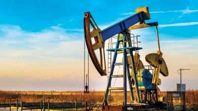 Giá xăng dầu hôm nay 29/7: Tiếp tục tăng