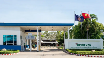 HEINEKEN Việt Nam cam kết cùng Đồng Tháp phát triển bền vững trong kỷ nguyên mới