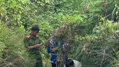 Phát hiện thi thể nghi là bé gái 2 tuổi mất tích tại xã Hiệp Thạnh
