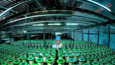 Phát huy nguồn lực, tiềm năng đưa phường 1 Bảo Lộc vào nhóm phát triển cao của tỉnh