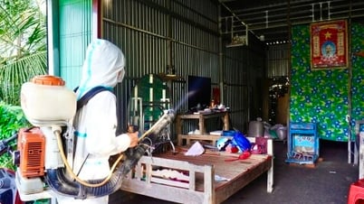 Cà Mau siết chặt phòng dịch sốt xuất huyết