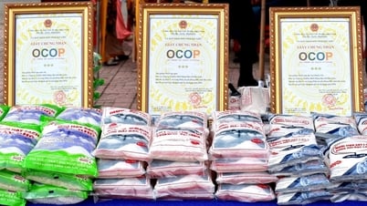 39 sản phẩm hết hiệu lực công nhận sản phẩm OCOP