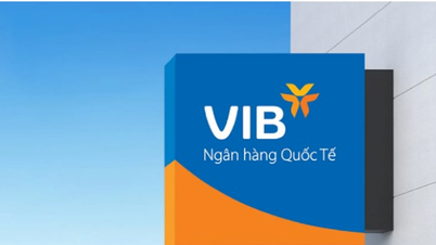 VIB: Lợi nhuận 6 tháng vượt 5.000 tỷ đồng, tăng trưởng tín dụng 10%