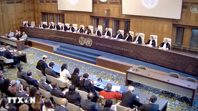 Việt Nam đóng góp cho tiến trình xin ý kiến tư vấn của ICJ về Biến đổi Khí hậu