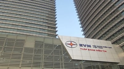 EVN đầu tư hơn 1.300 tỷ đồng vào dự án Nhà máy điện hạt nhân Ninh Thuận