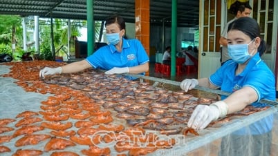 Quyết tâm hoàn thành tổng điều tra nông thôn, nông nghiệp trước hạn