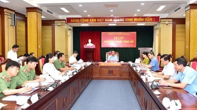 Thường trực Tỉnh ủy cho ý kiến vào Văn kiện trình Đại hội đại biểu các Đảng bộ trực thuộc