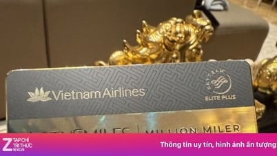 Đừng đăng ảnh thẻ lên mạng như Đàm Vĩnh Hưng