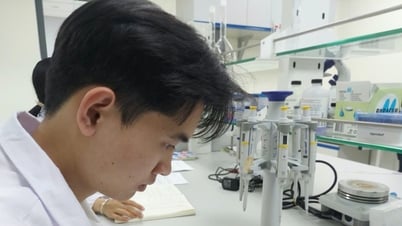 Dẫn đầu thu hút FDI, Hà Nội vẫn nhiều tiềm năng bứt phá